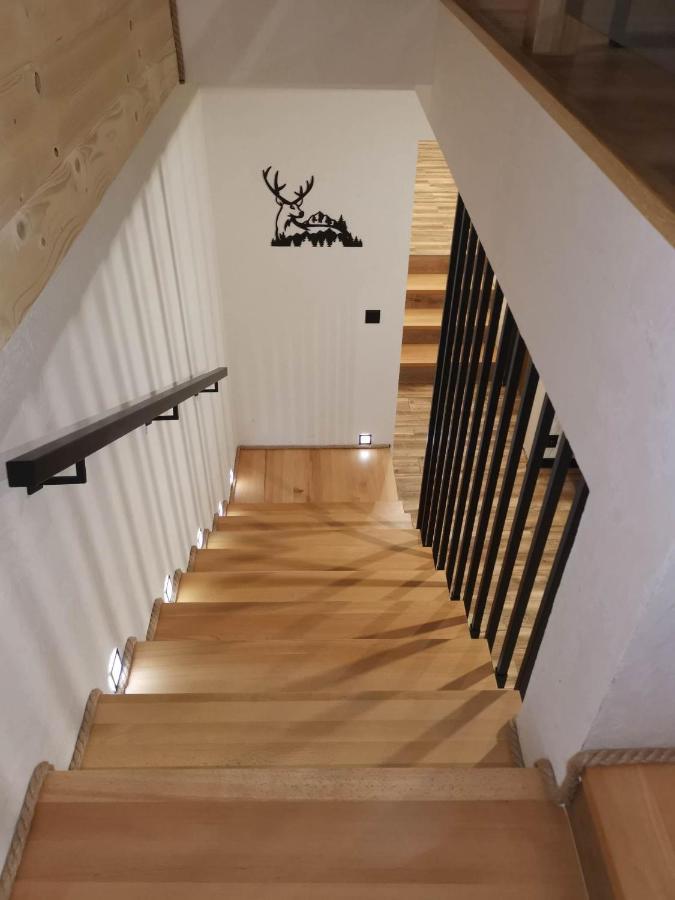 Apartament Skorusinka W Poblizu Chocholowskich Term Witow  Luaran gambar