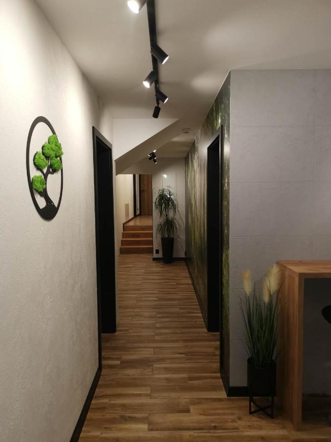 Apartament Skorusinka W Poblizu Chocholowskich Term Witow  Luaran gambar