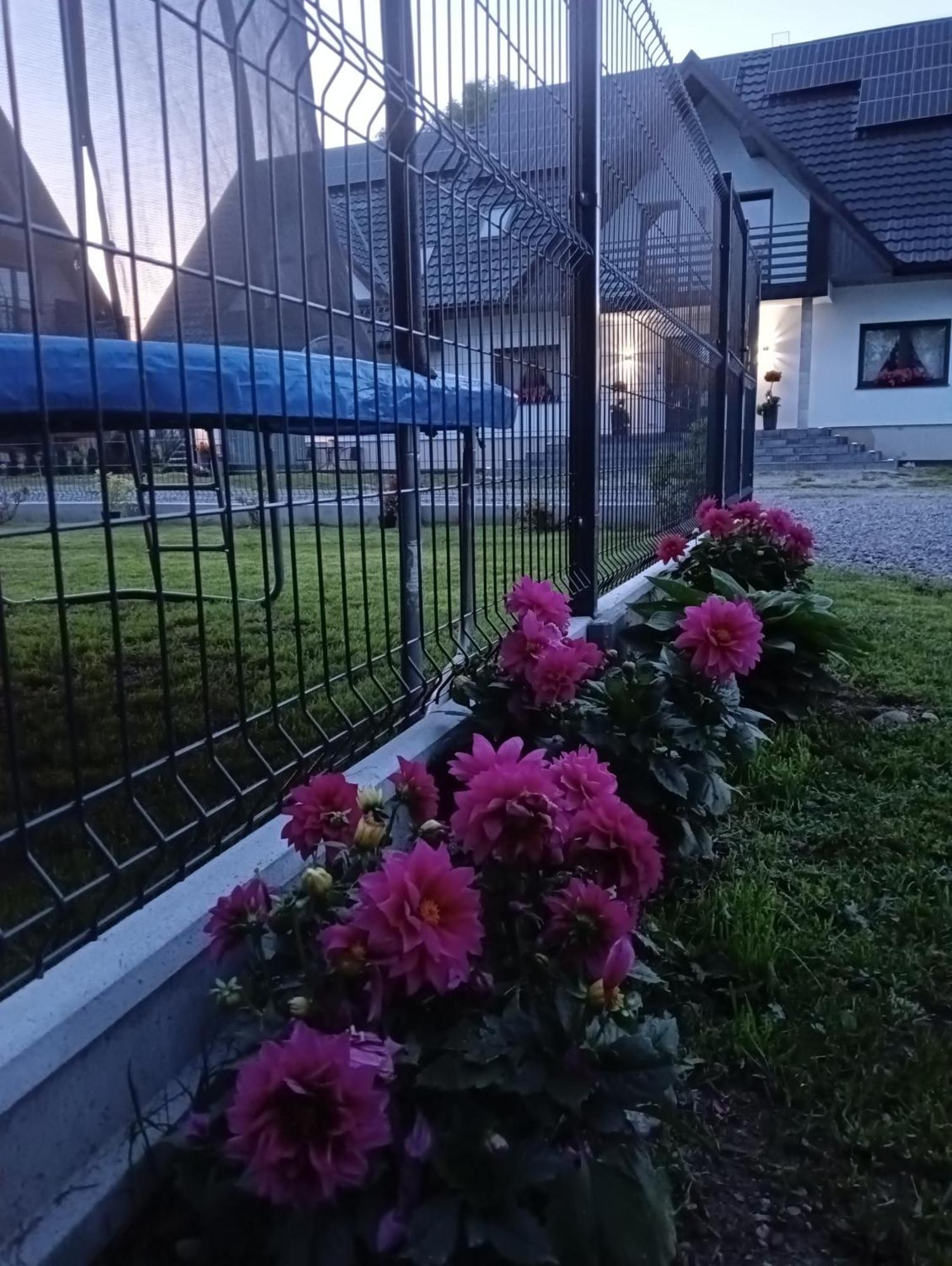 Apartament Skorusinka W Poblizu Chocholowskich Term Witow  Luaran gambar